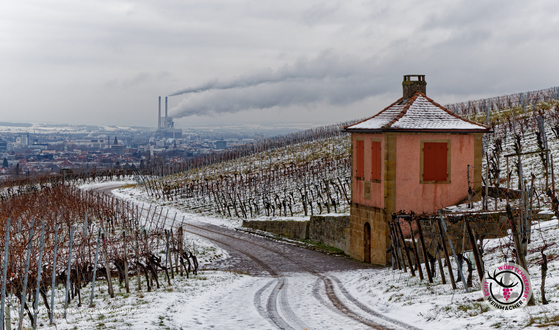 Heilbronner Weinberge mit Schnee