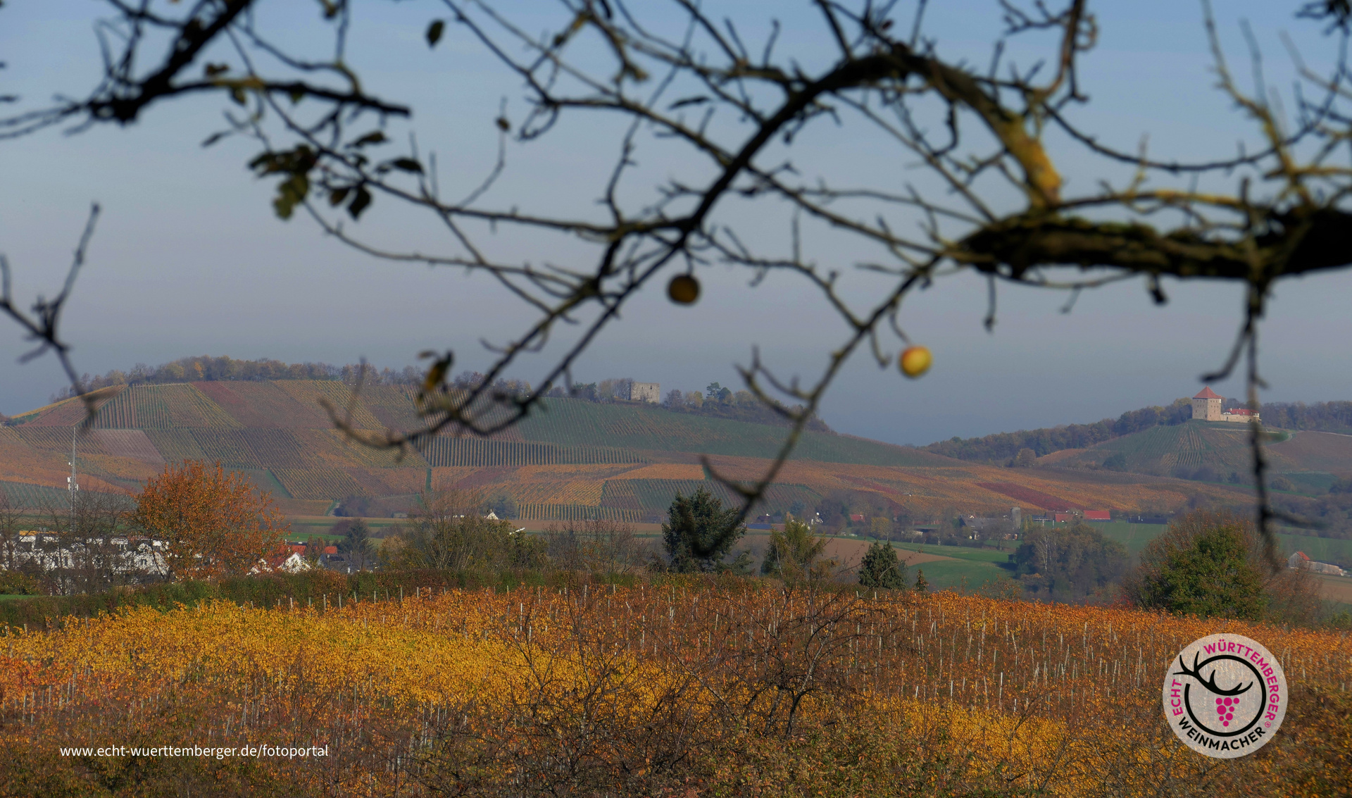 Blick auf Helfenberg