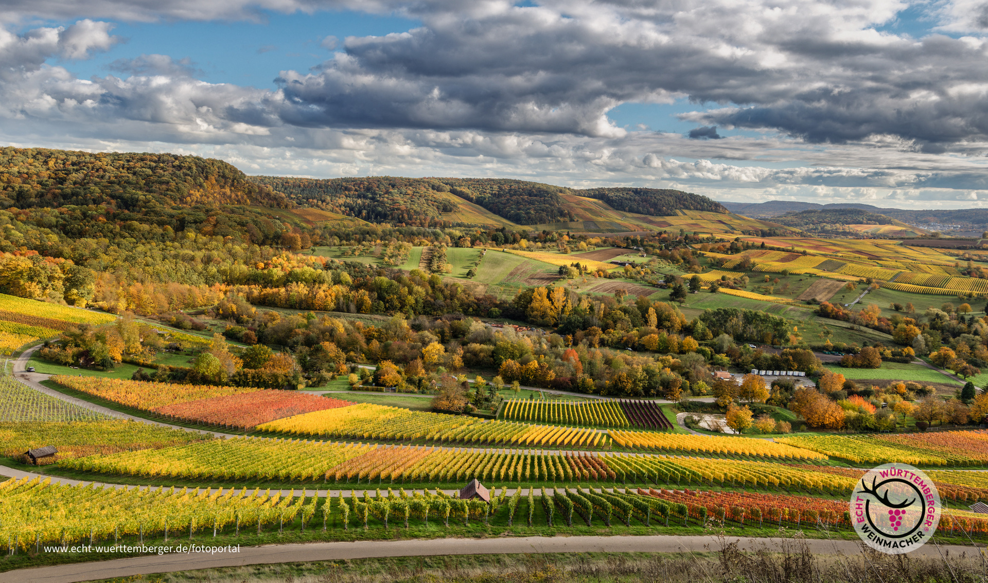 Blick vom Scheuerberg