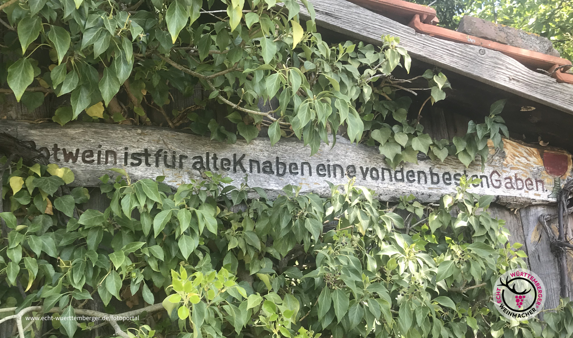 Alter Wein