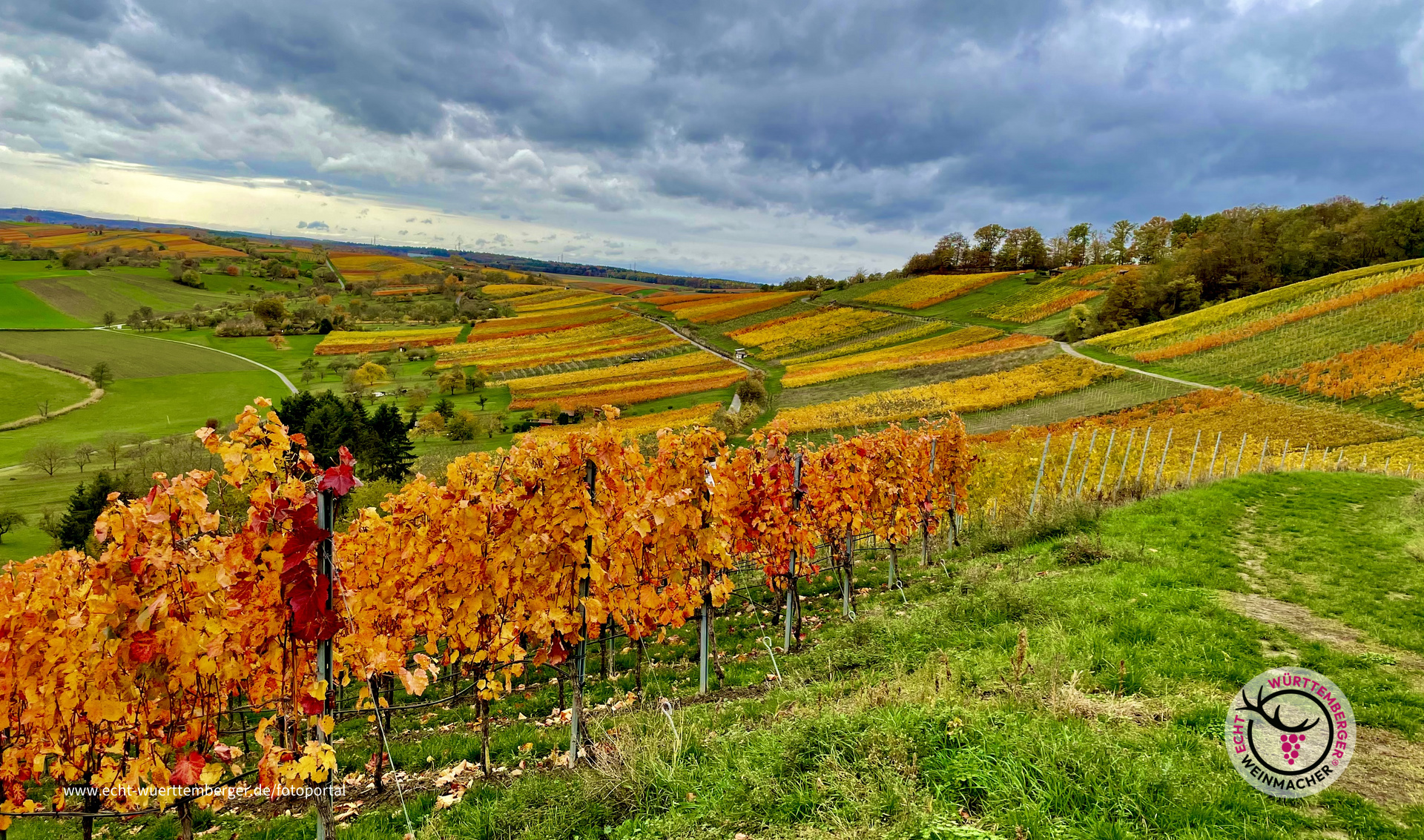 Herbsttag im Weinberg