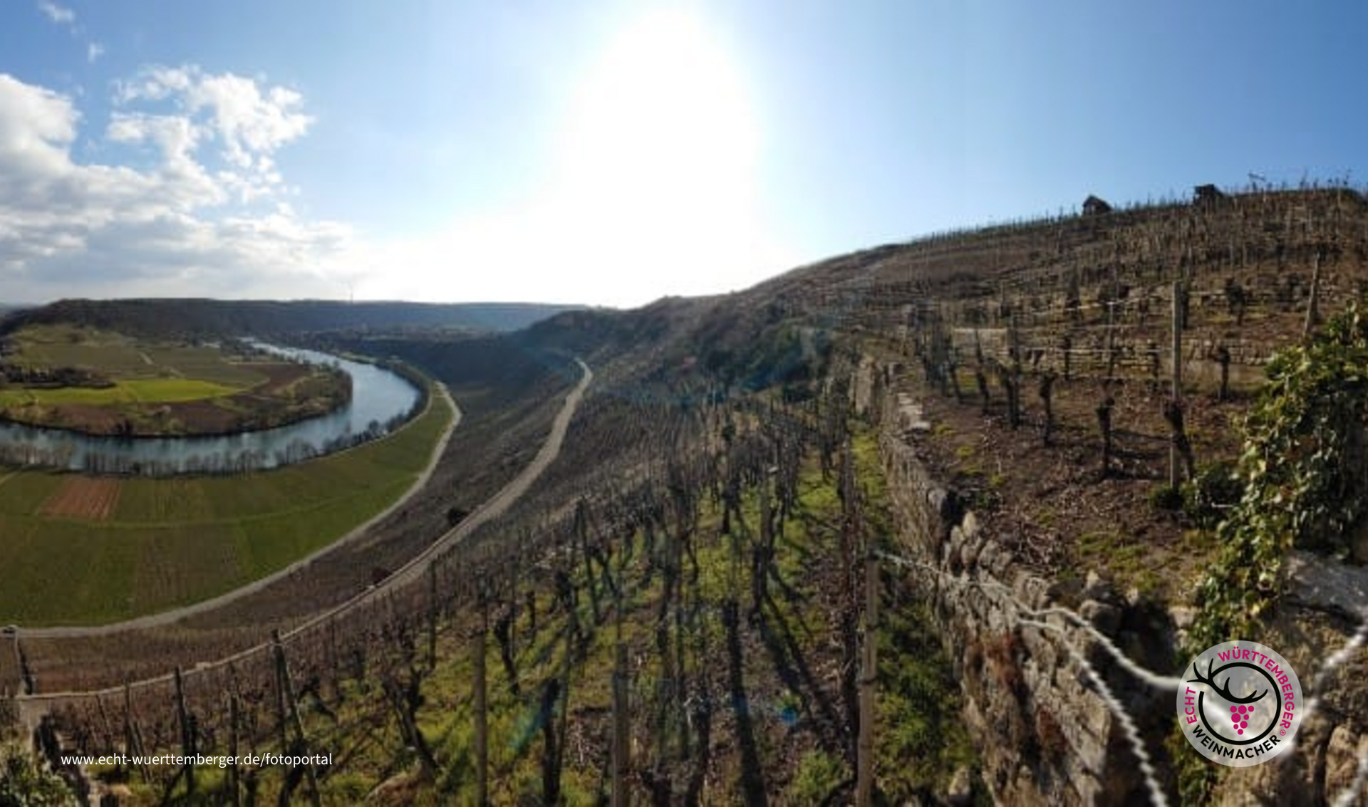 Käsberg Neckarschleife