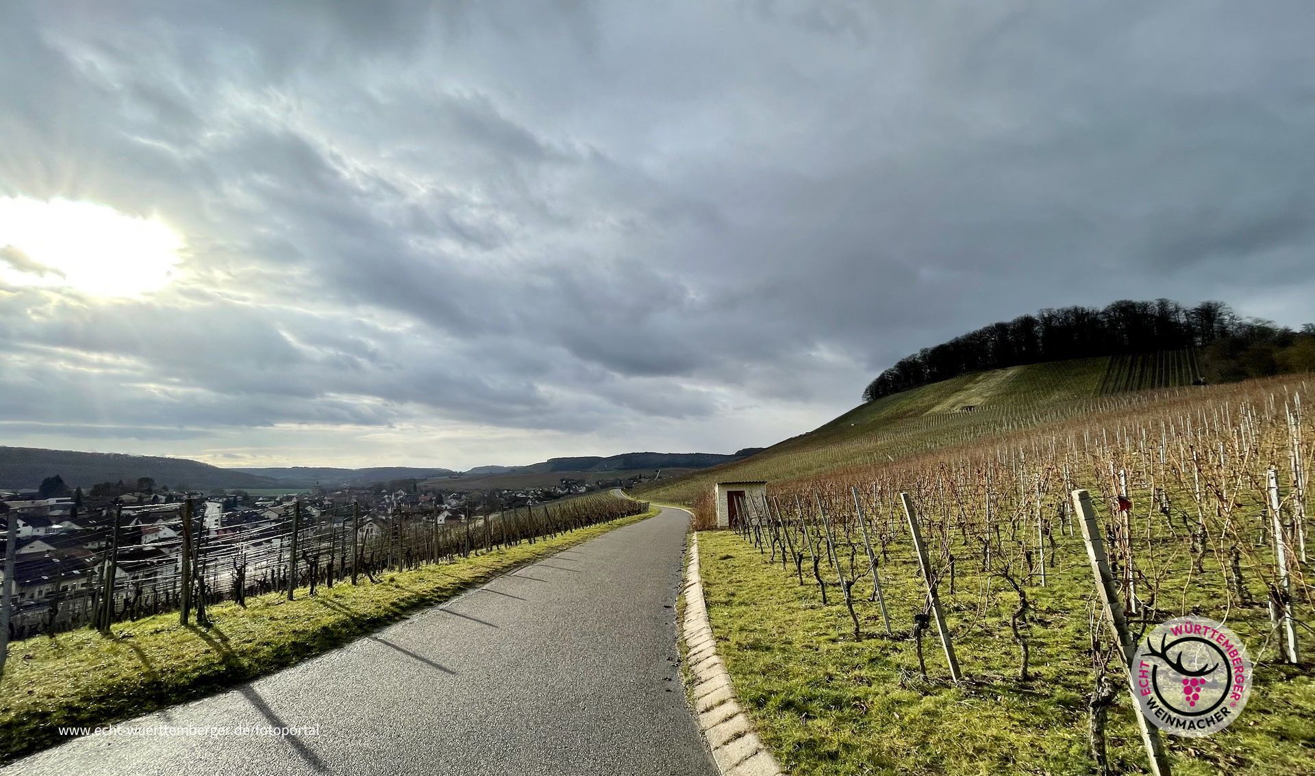 Reben und Sonne