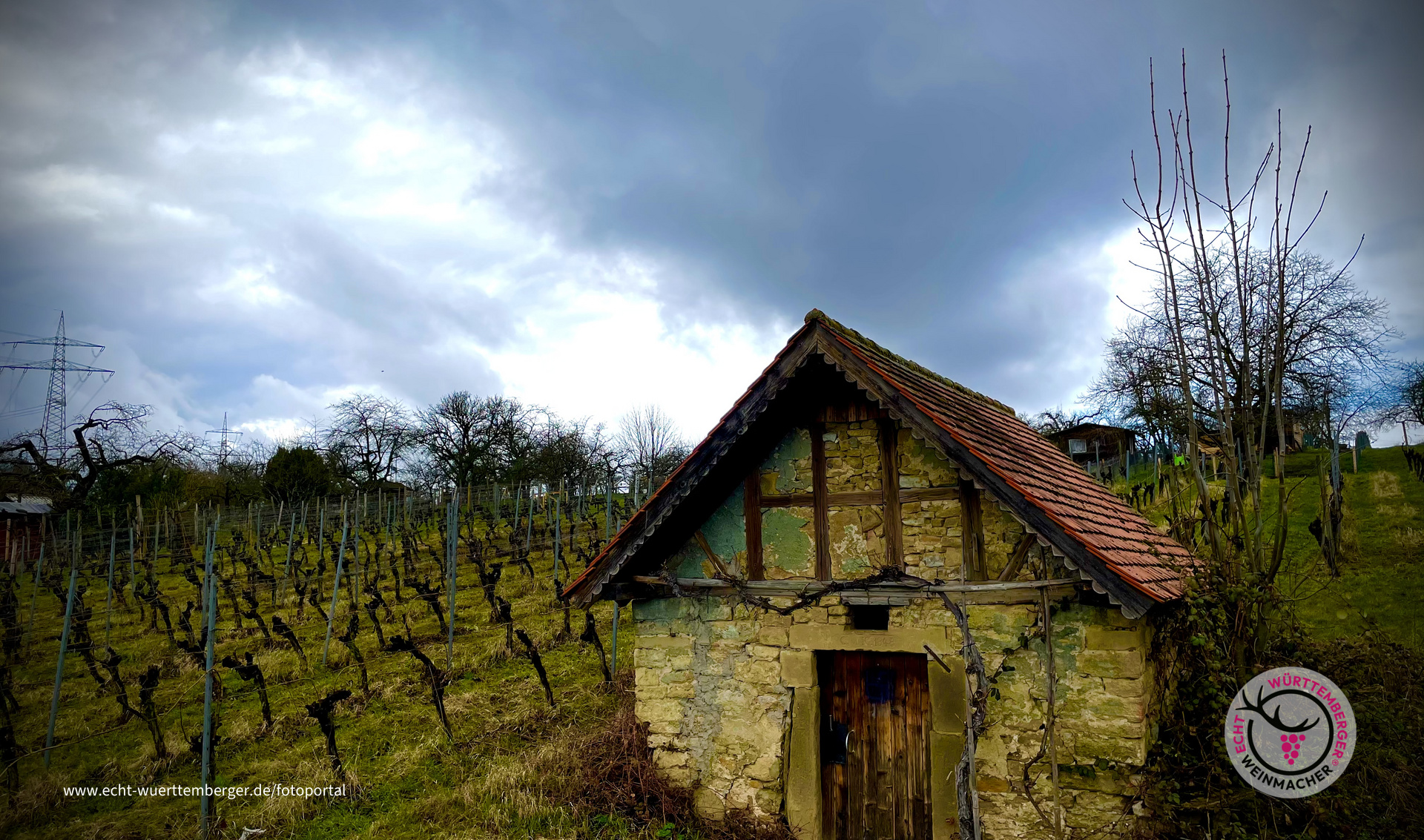 Wengerthäusle bei Freiberg am Neckar