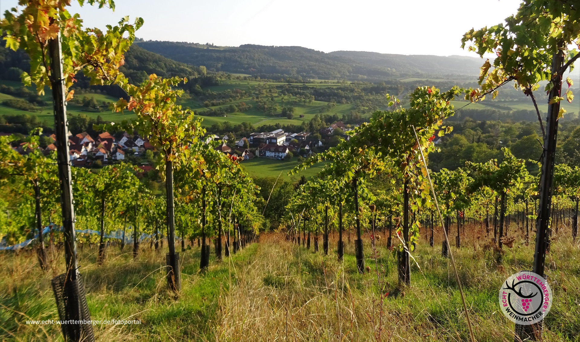 Herbststimmung
