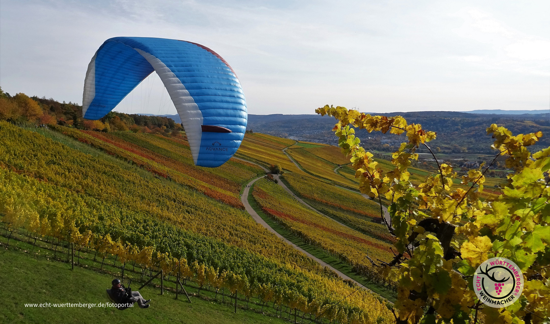 Luftsprung in den Weinberg