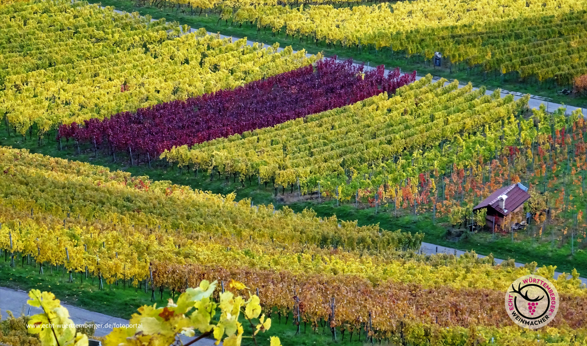 Farben des Herbstes