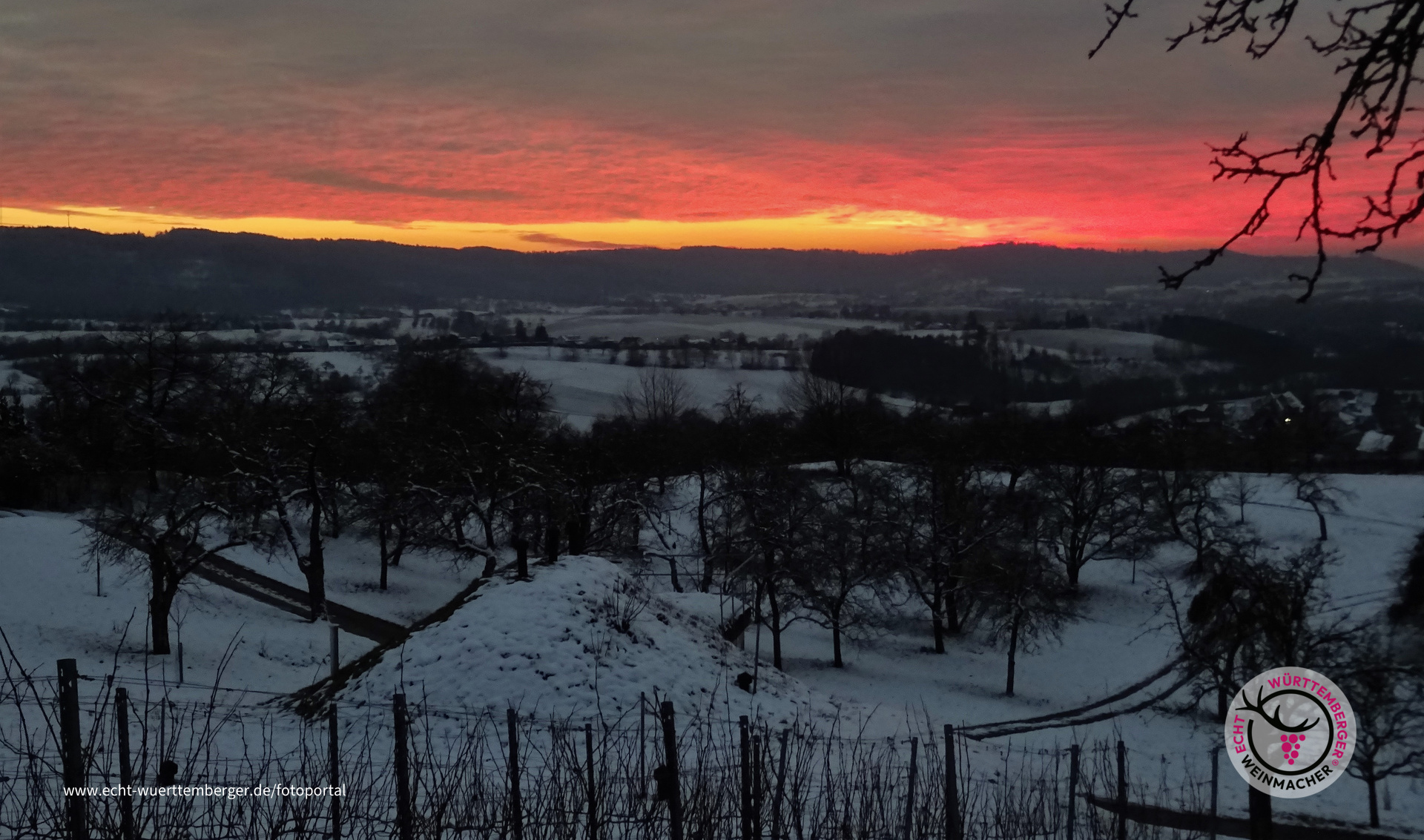 Sonnenuntergang überm Weinberg