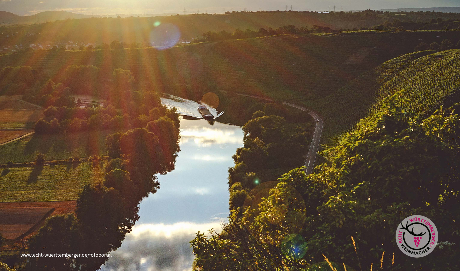 Hessigheimer Wurmberg