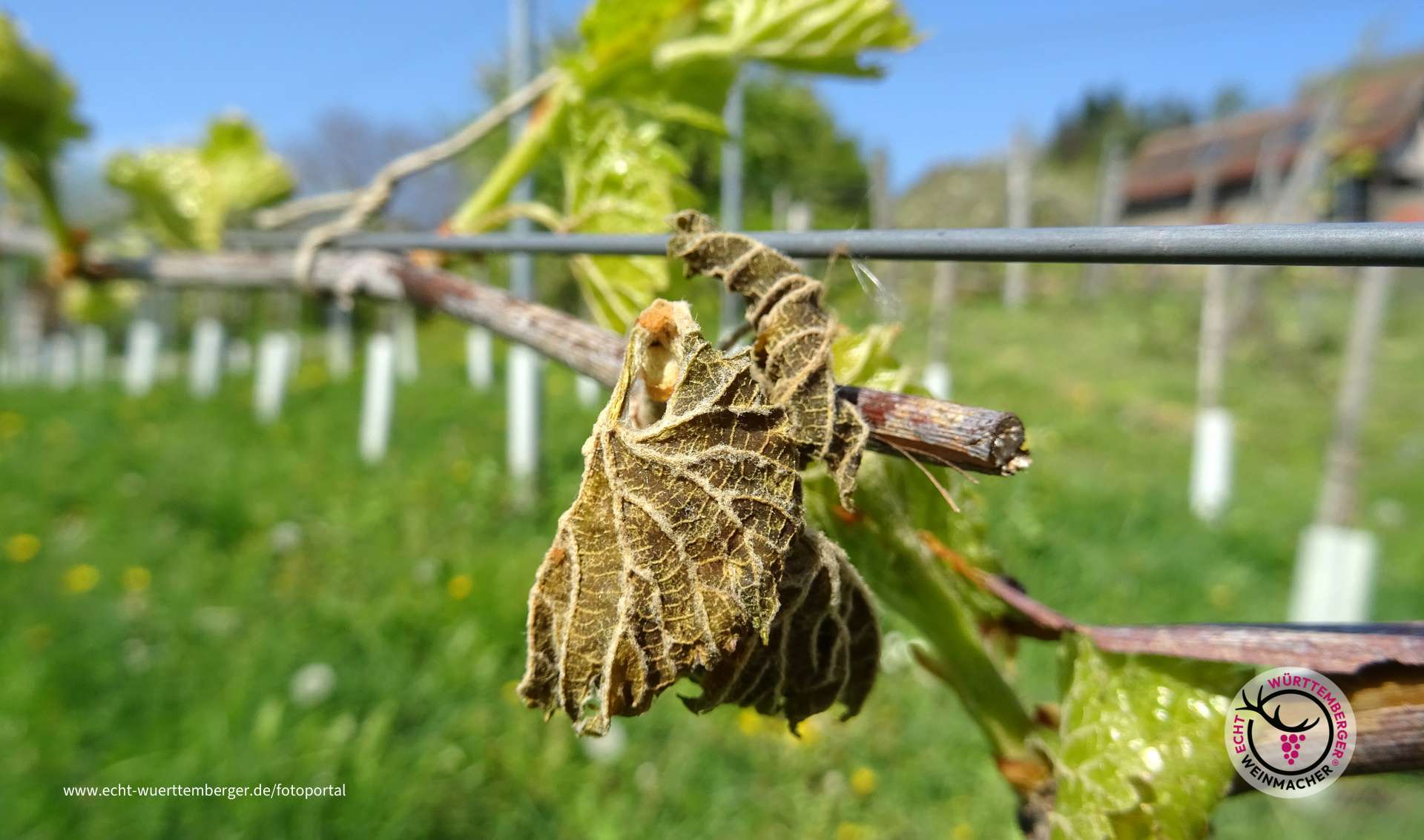 Schaden und Hoffnung