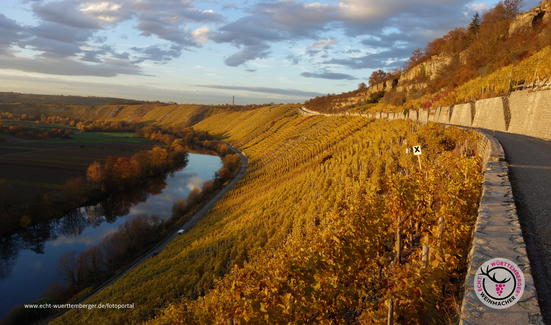 In der Herbstabendsonne