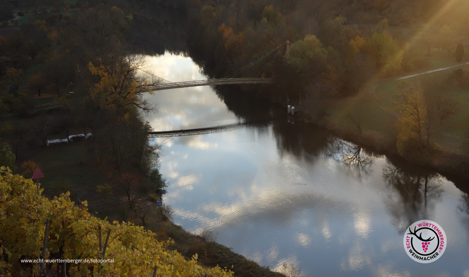 Nebelstimmung am Neckar