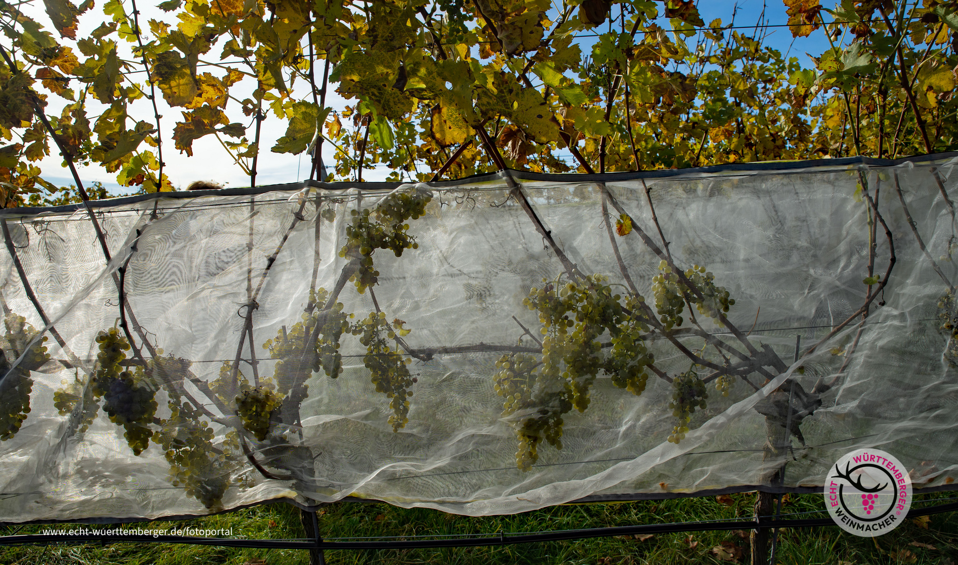 "Warten auf den Frost"