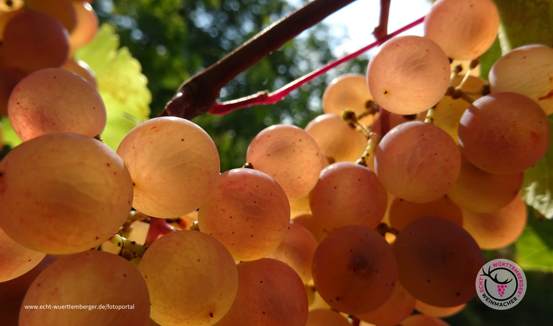 Eingefangene Sonne im CAL 6-04