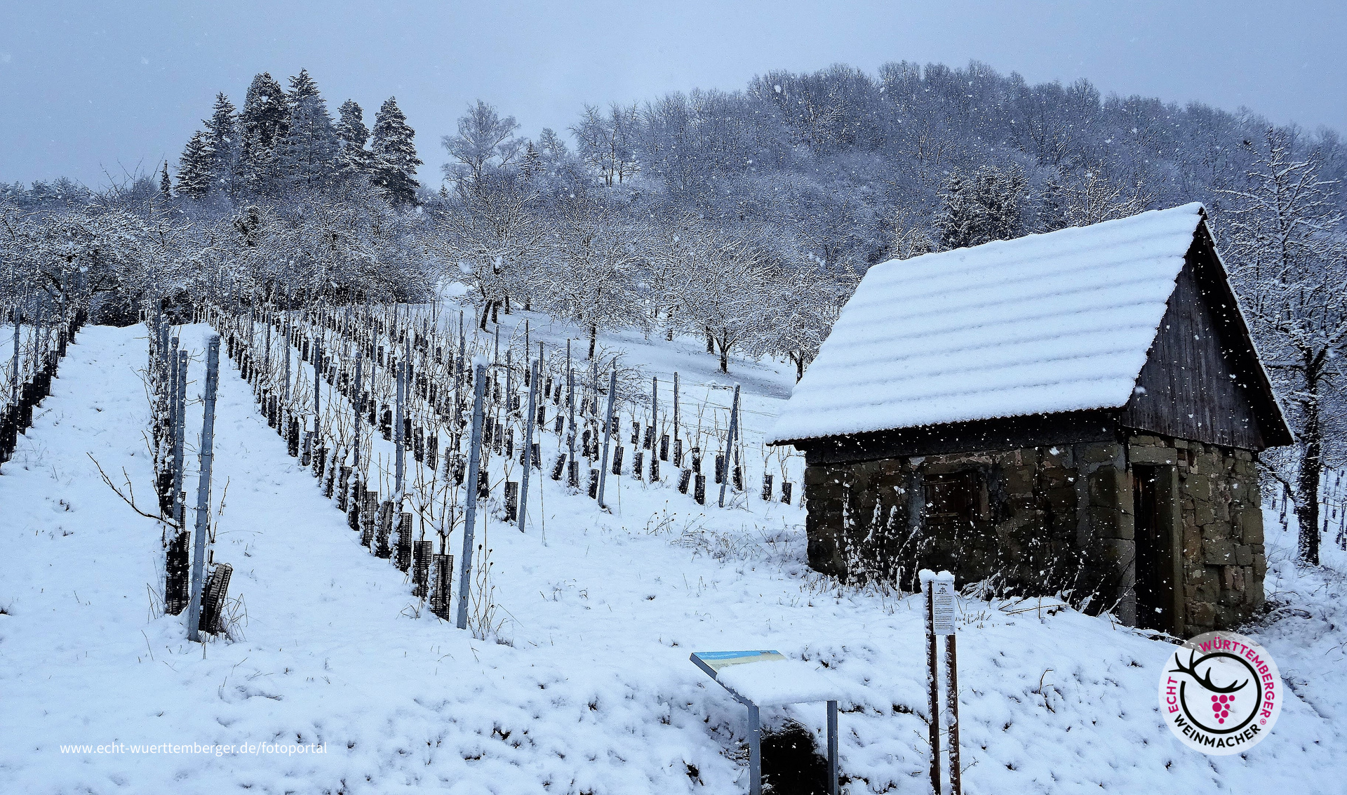 Winterruhe