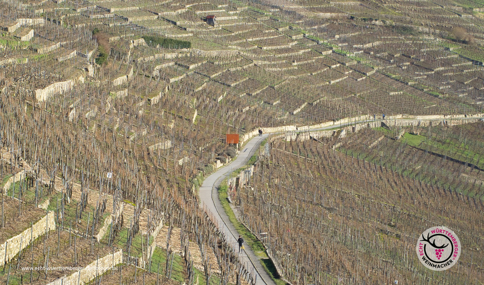 the red roof
