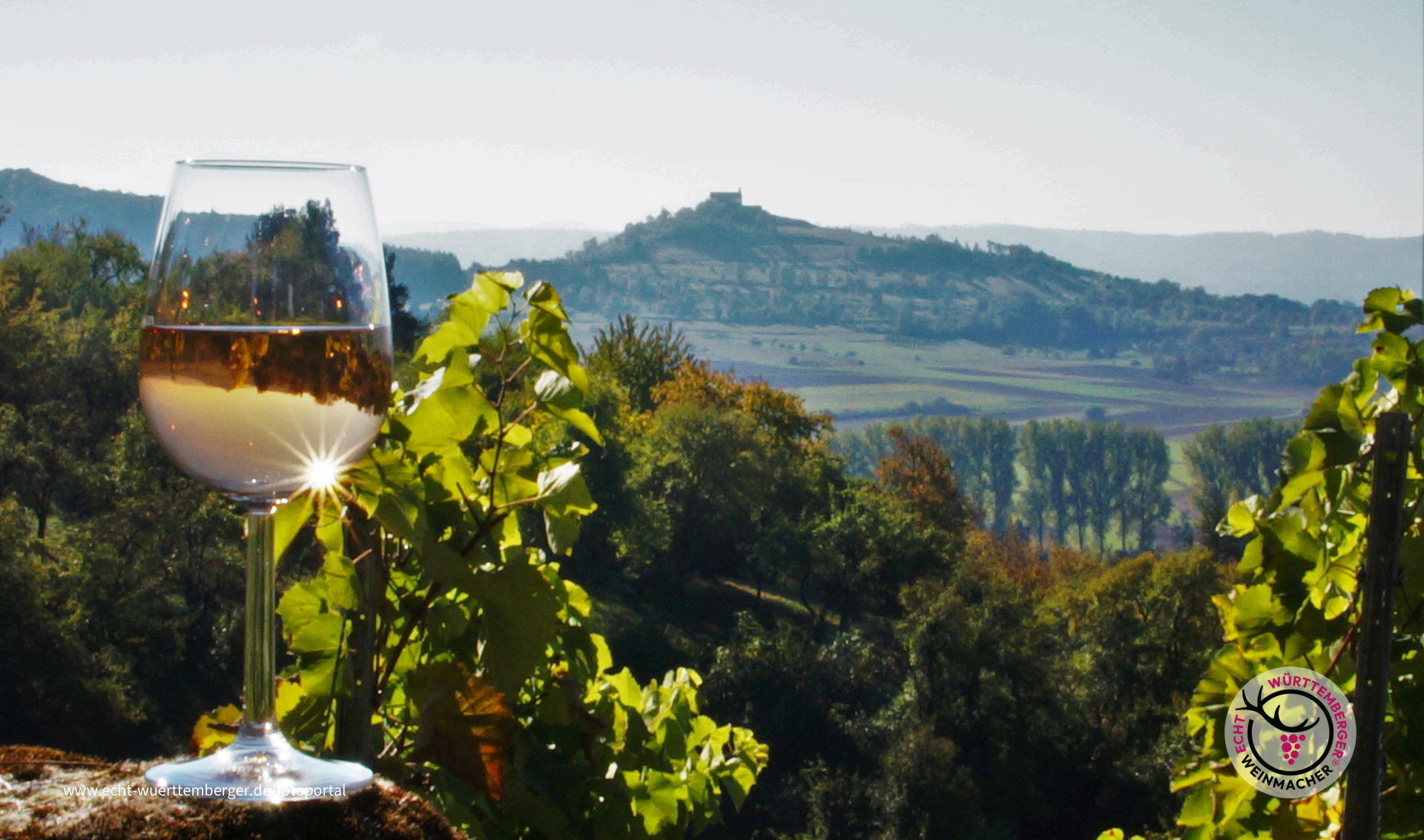 Weinsicht aus den Unterjesinger Weinbergen