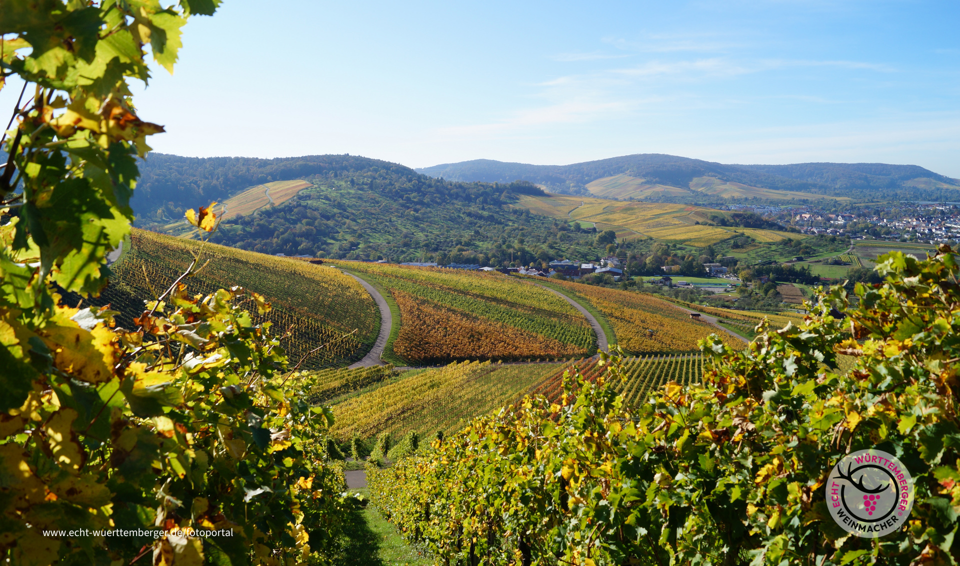 Herbstzauber in den Weinbergen im Ländle