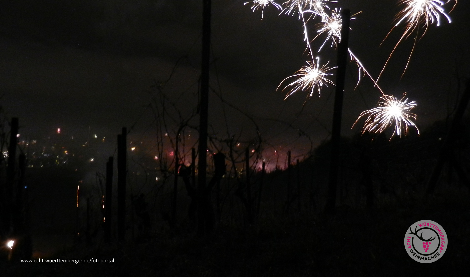 Jahreswechsel im Wengert