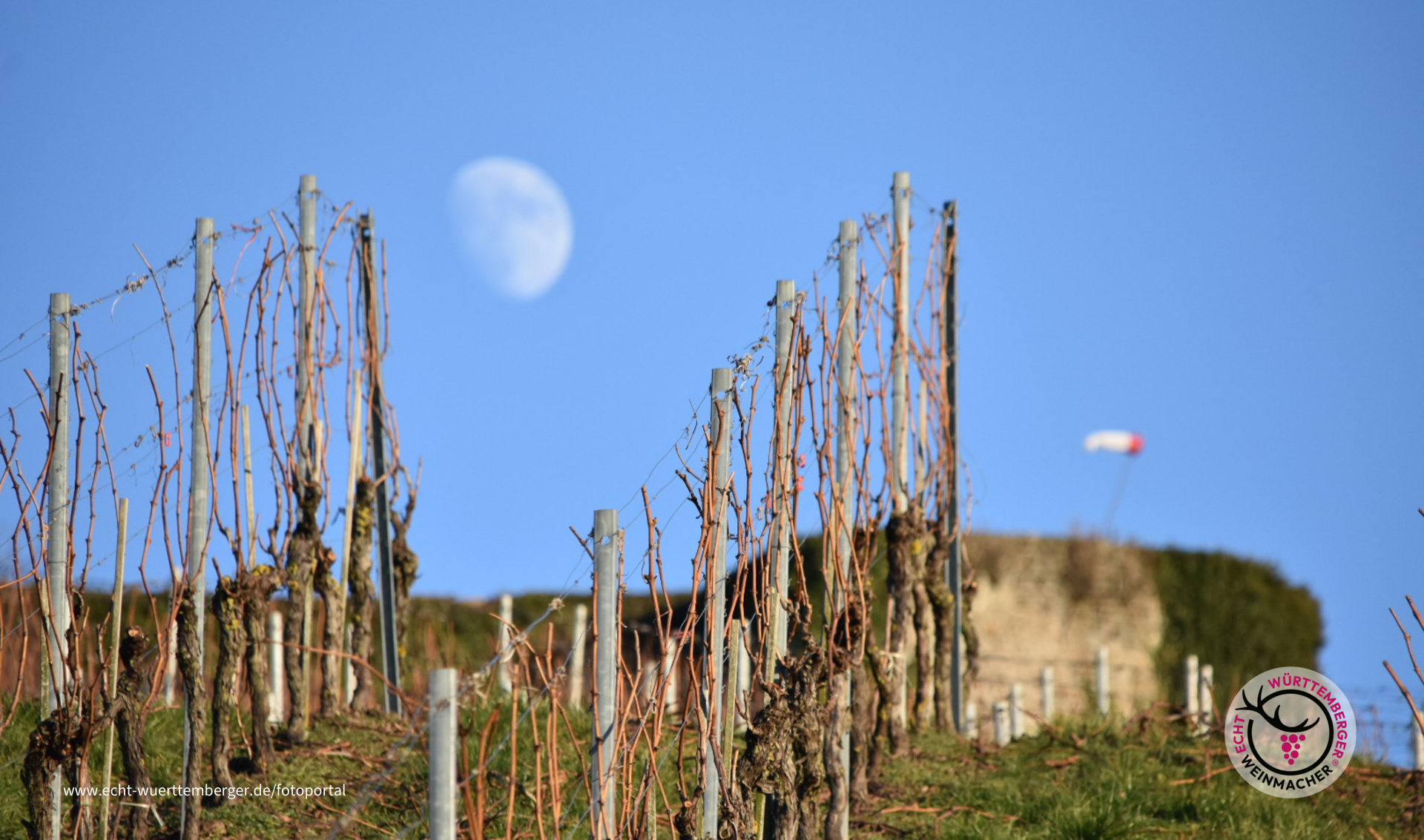 Vollmond in den Weinbergen