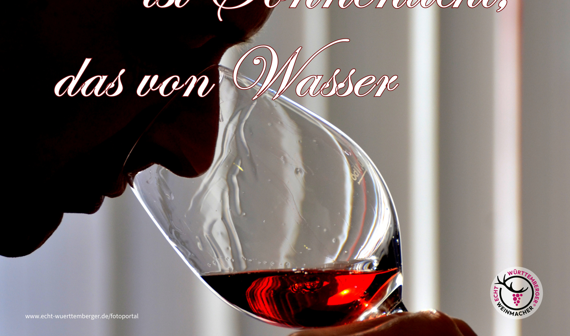 Wein ist...