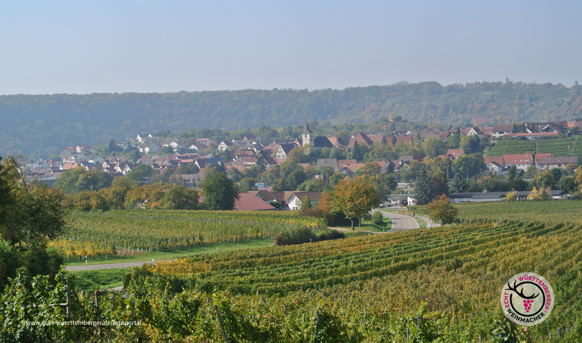 Wurmberg Hessigheim