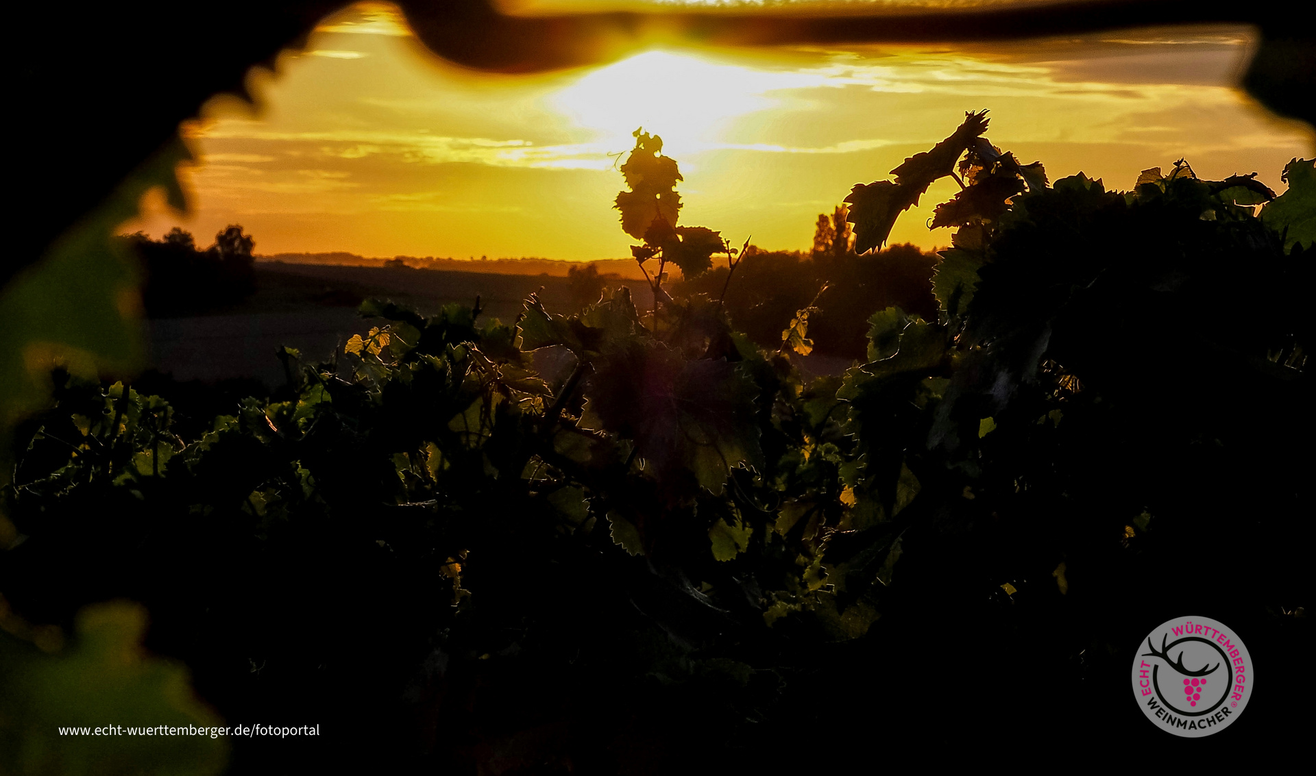 Abendstimmung