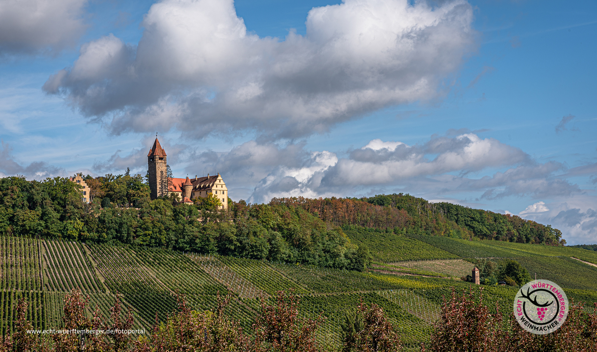 Weinberge um das Schloss Stocksberg