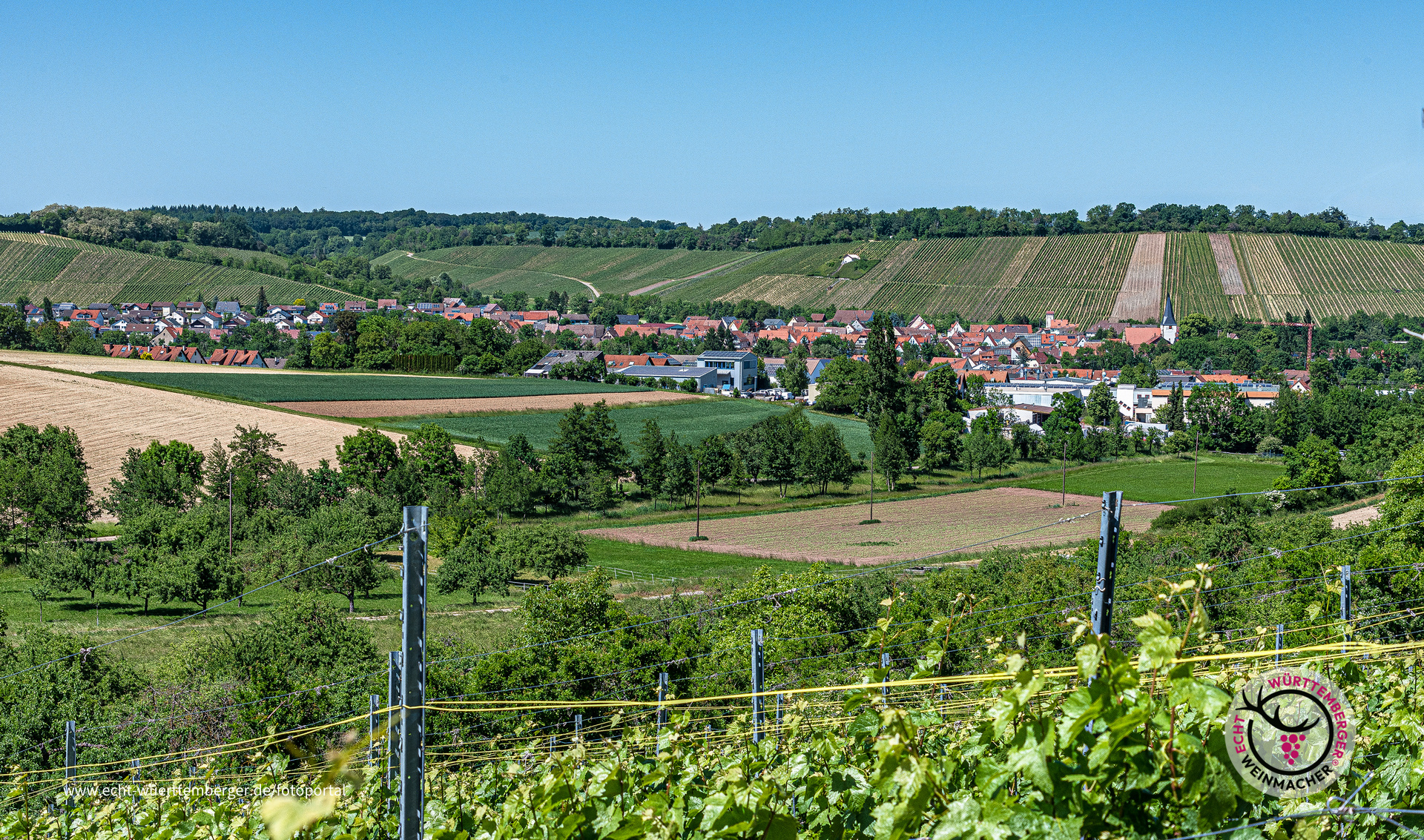 Weinland Zabergäu
