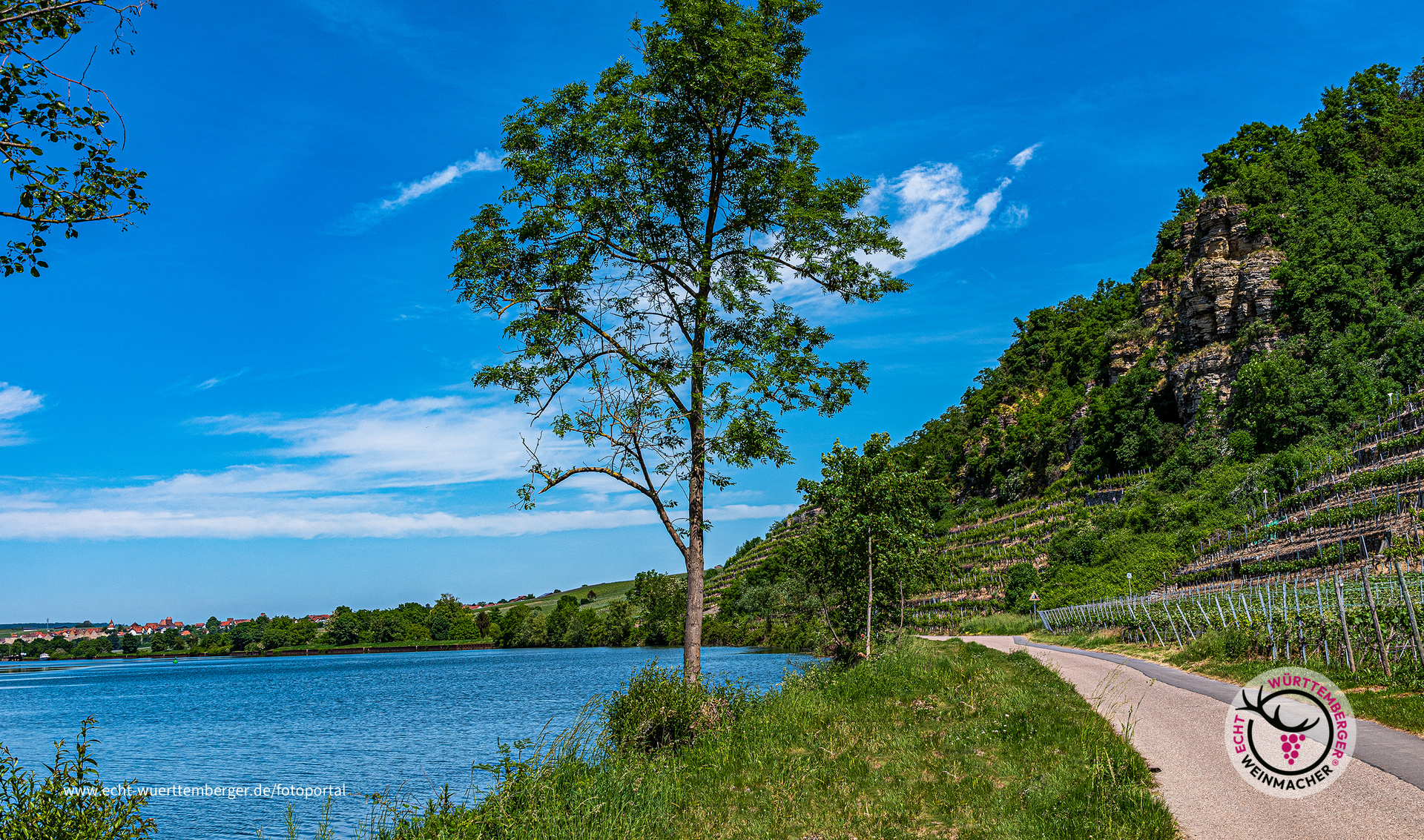 Weinland am Neckar