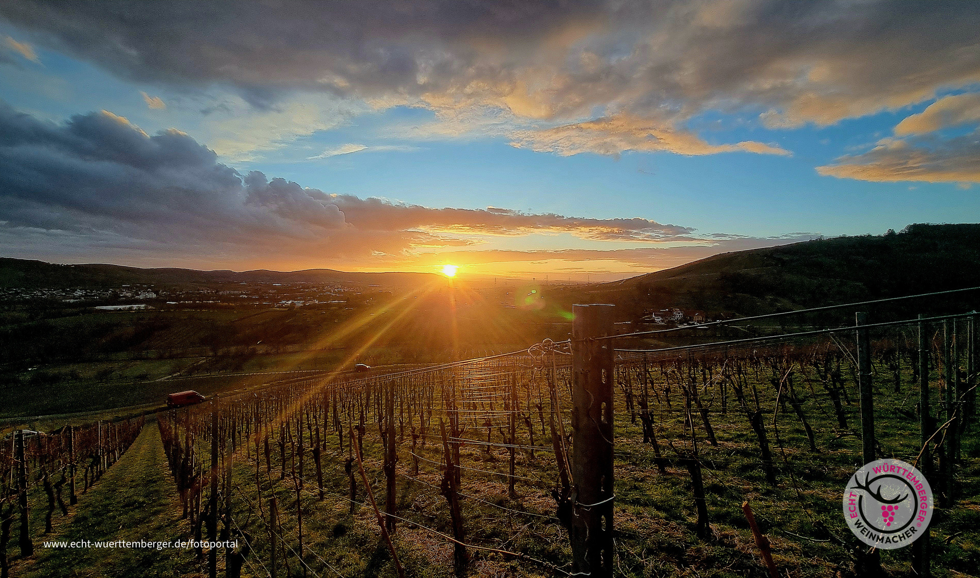 Sonnenuntergang beim Rebschnitt
