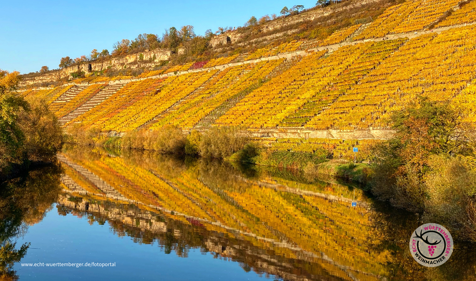 Herbstlich glühende Hessigheimer Felsengärten