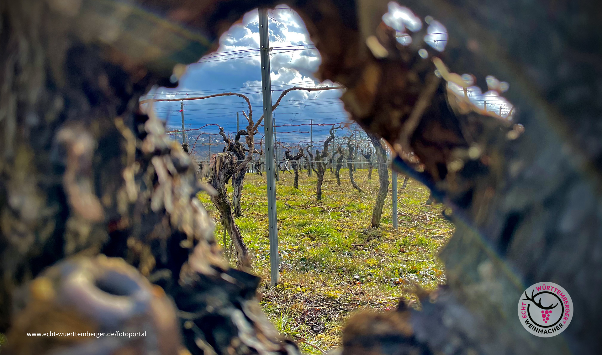 Ausblick auf den Jahrgang 2021