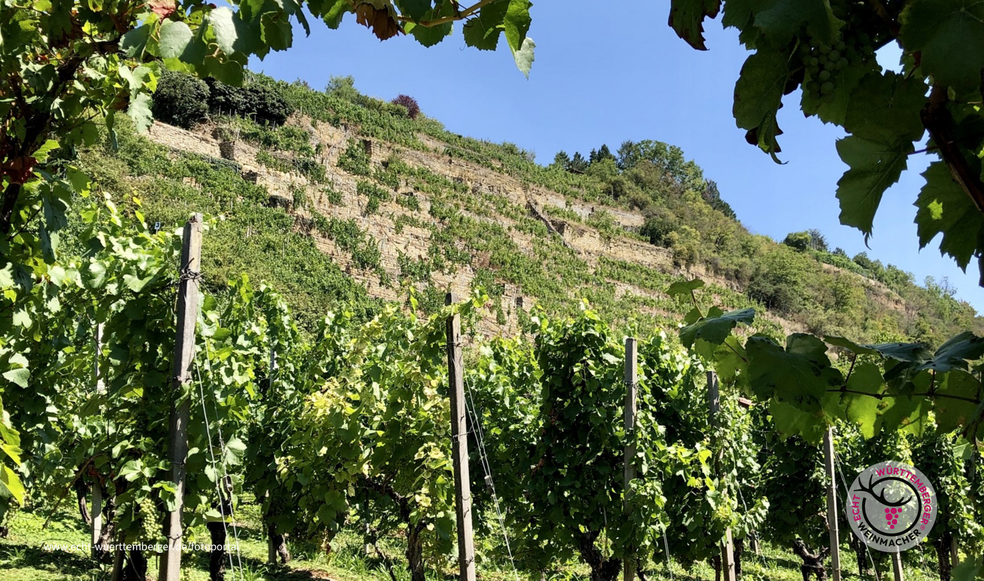 Steillagen im Rahmen