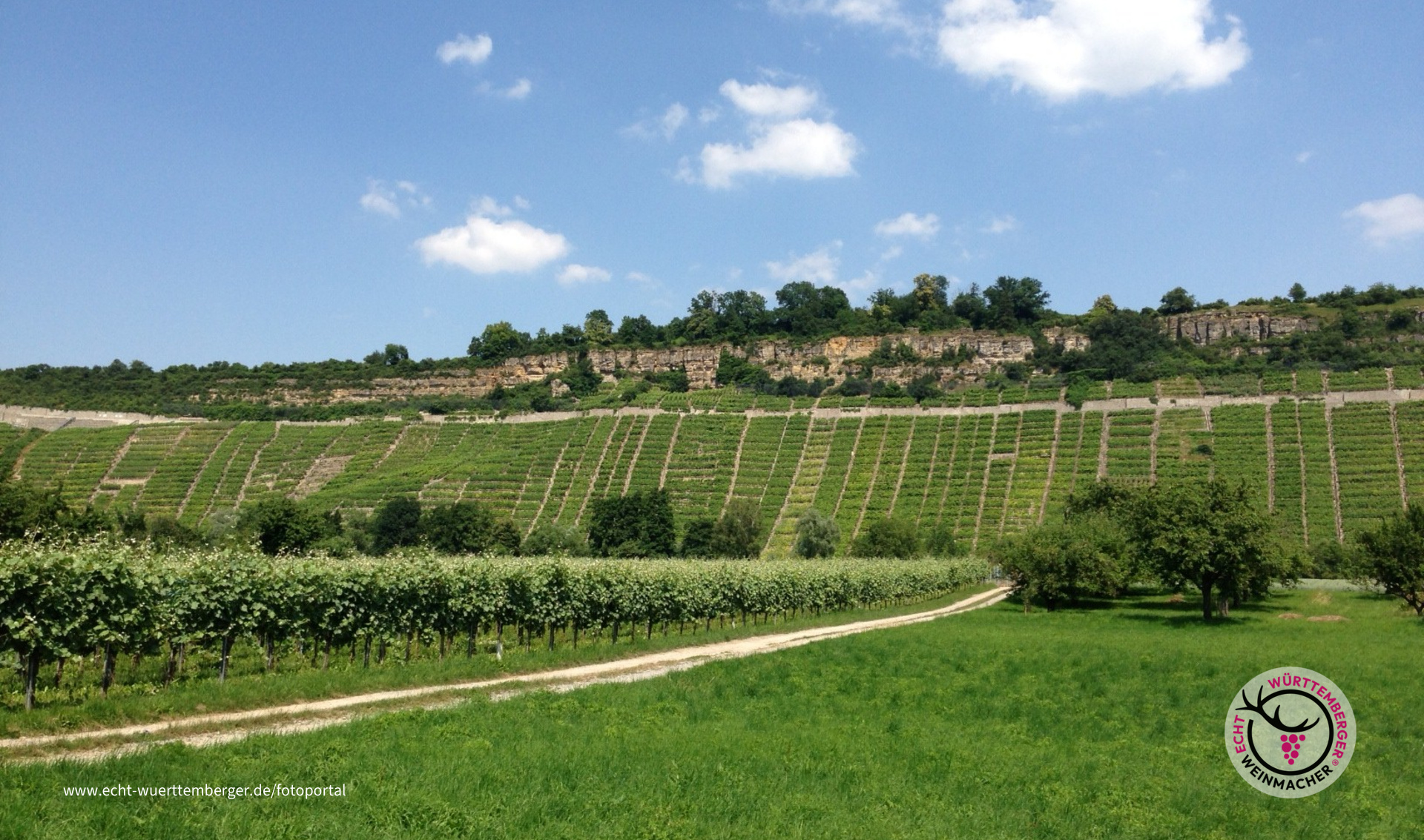Felsengartenweinberge bei Hessigheim