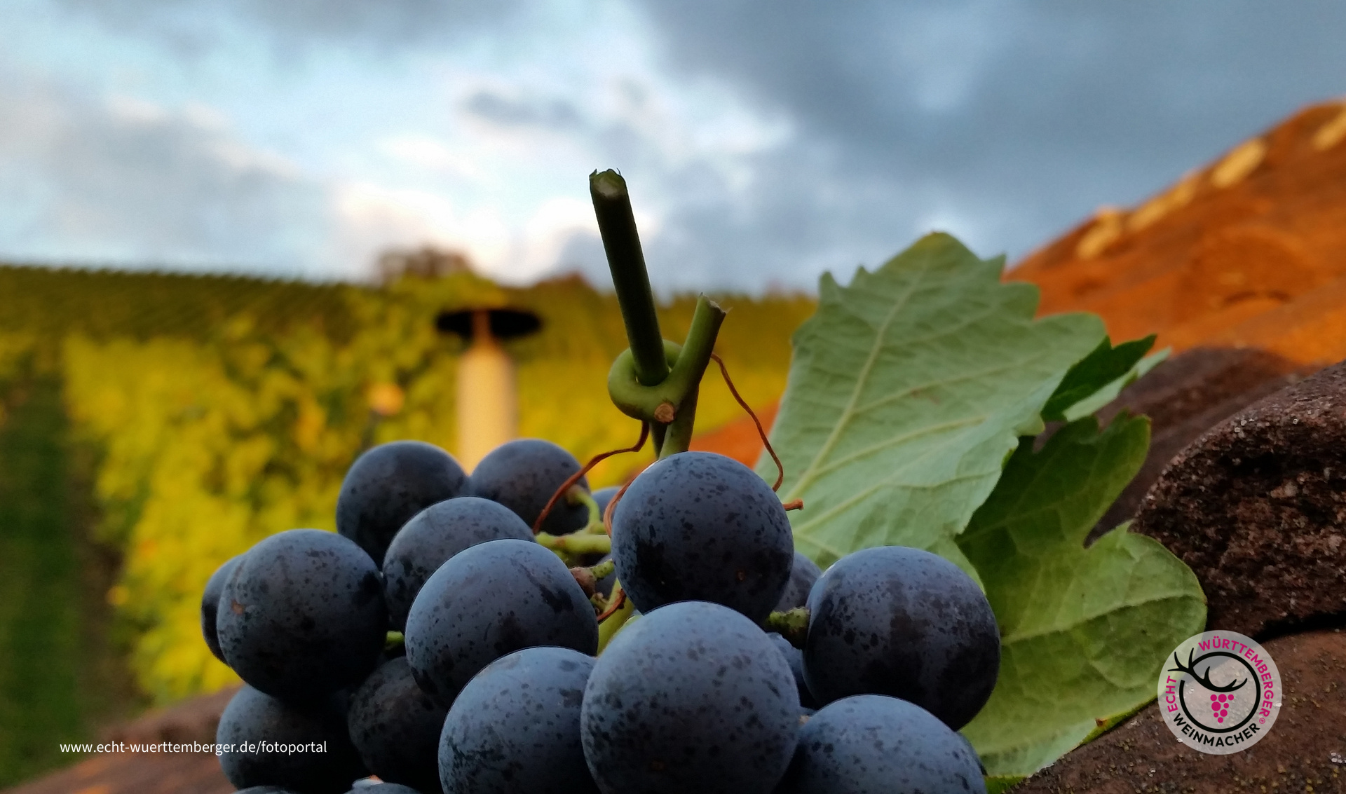 Grunbacher Trollinger