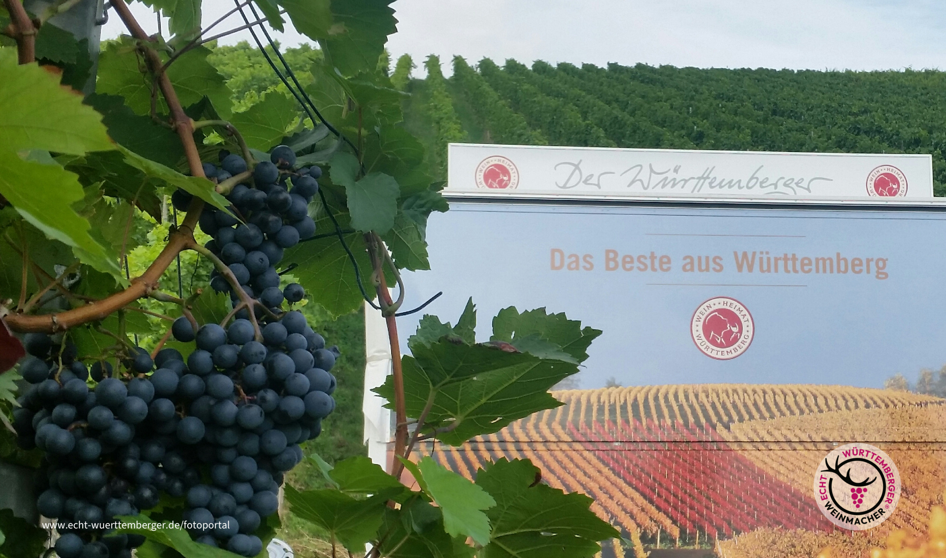 Grunbacher Wein ...