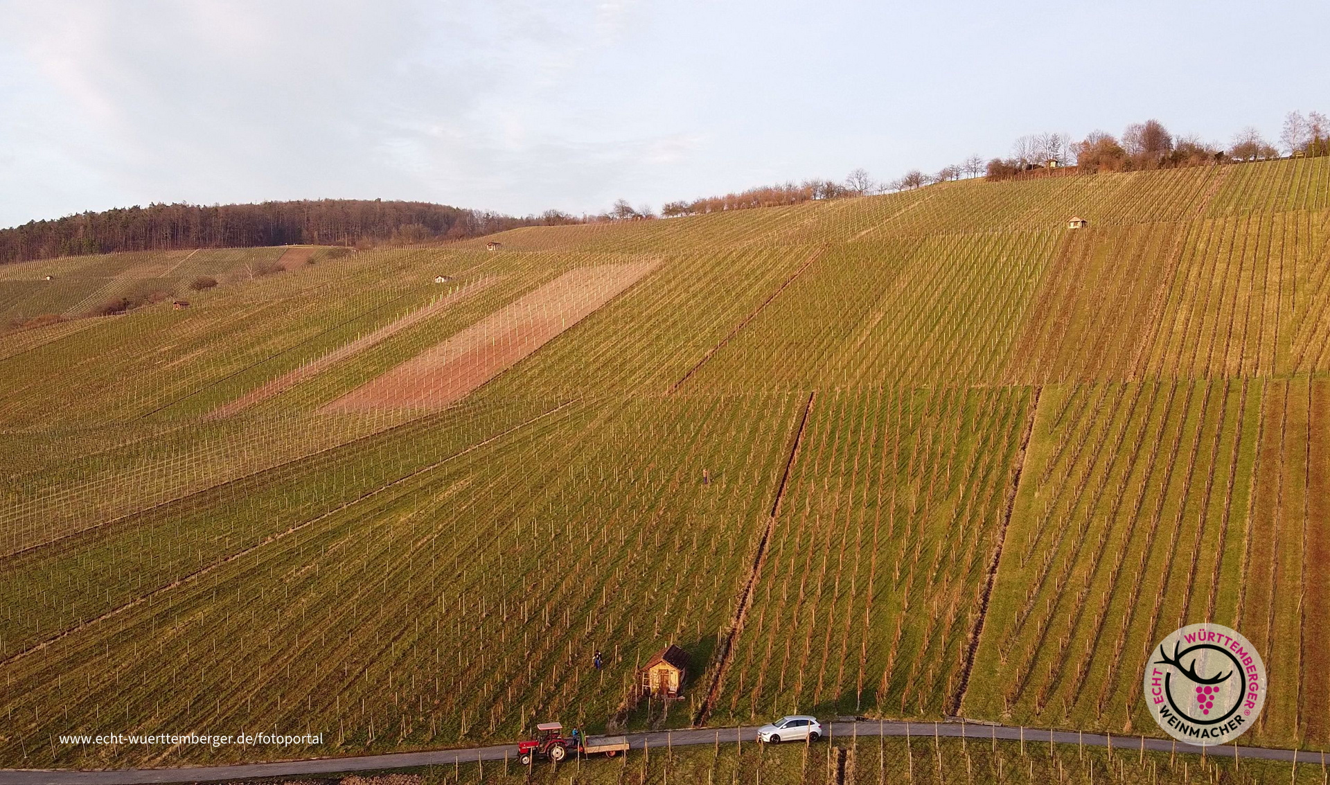 Grunbacher Wengert von oben