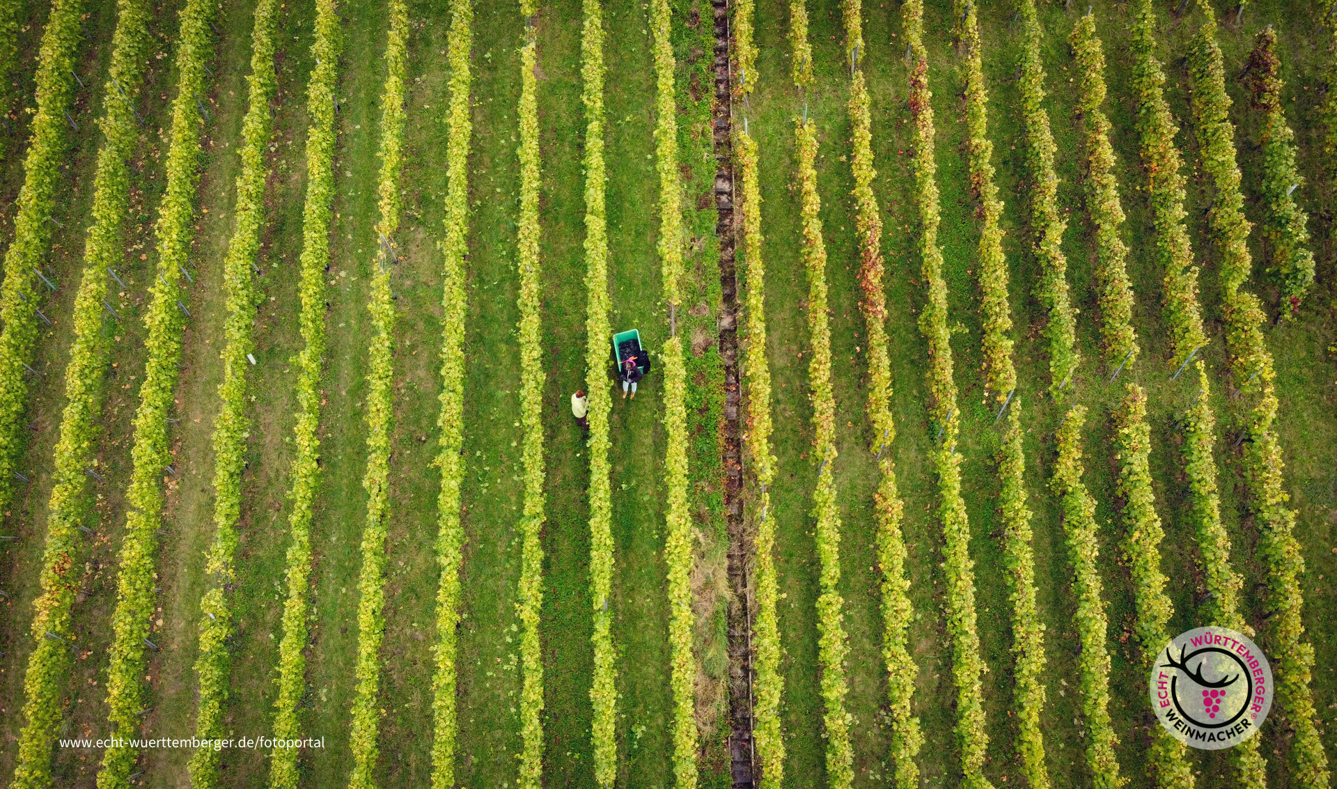 Herbst im #Länd-le