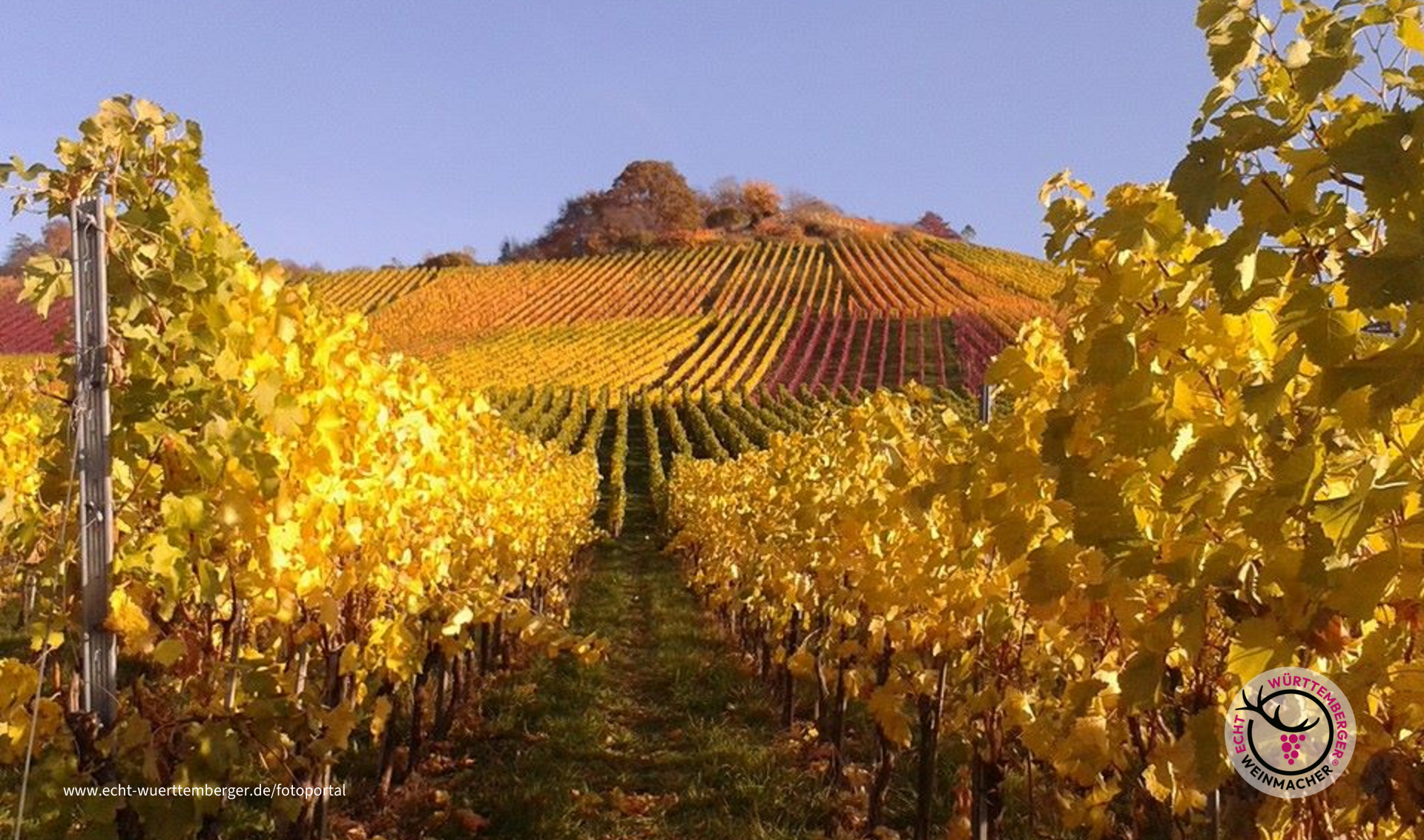 Herbst am Rotenberg
