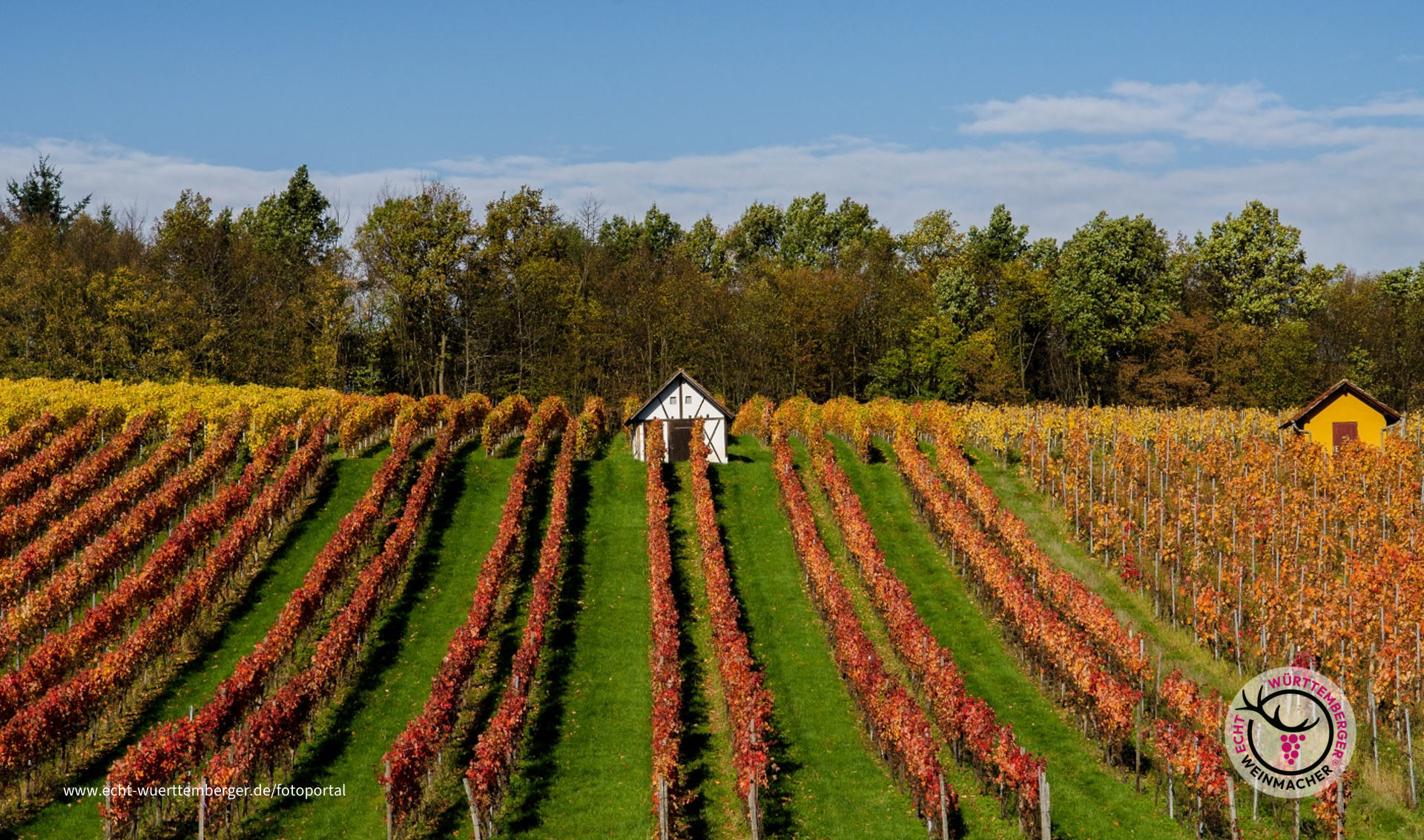 goldener Herbst