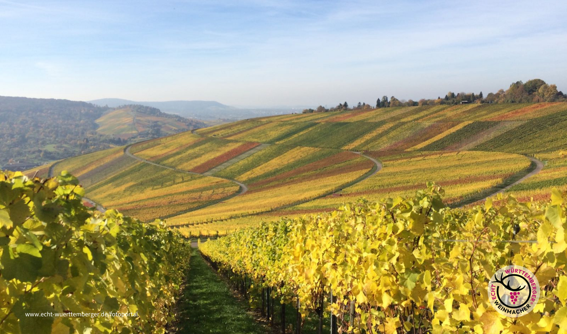 Goldene Welt