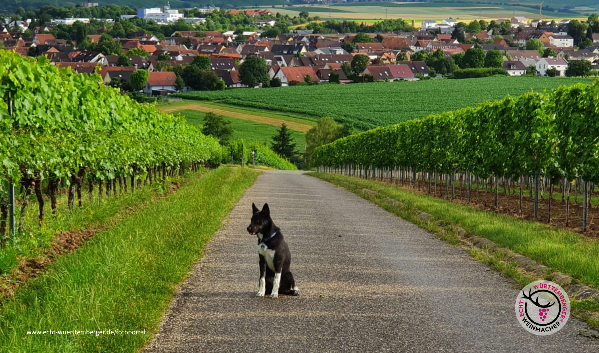Abendliche Runde. 