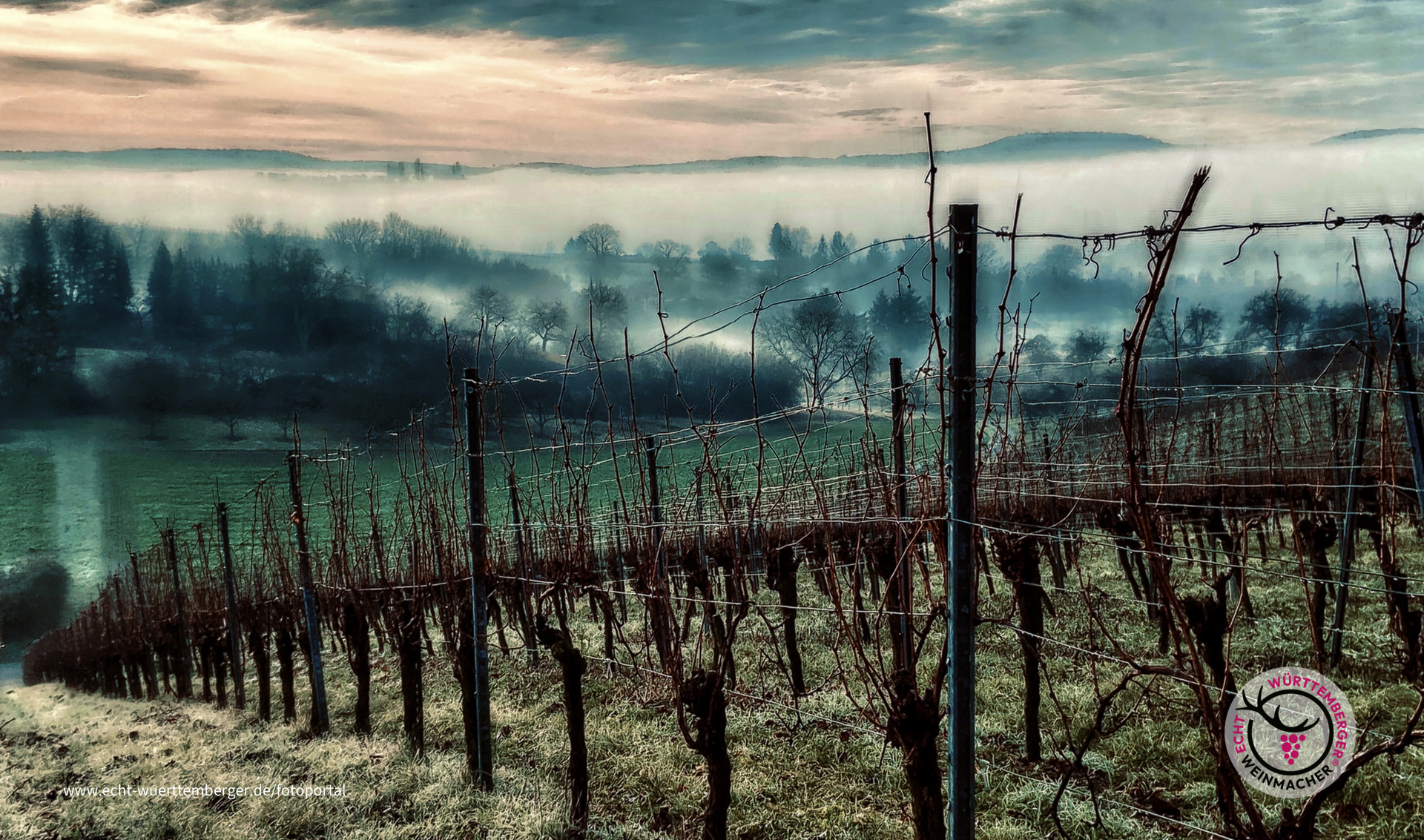 Nebeliger Sonnenaufgang 