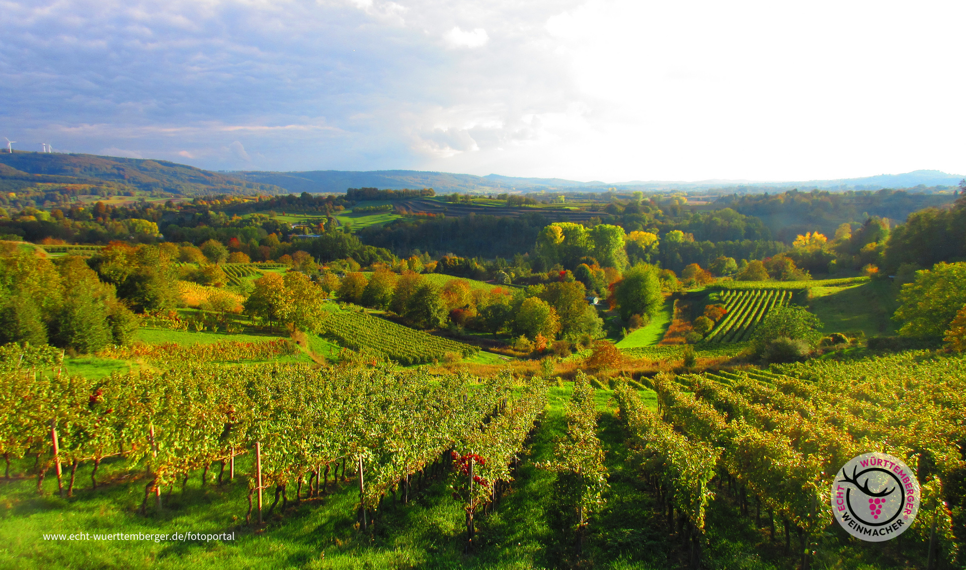Weinheimat Württemberg