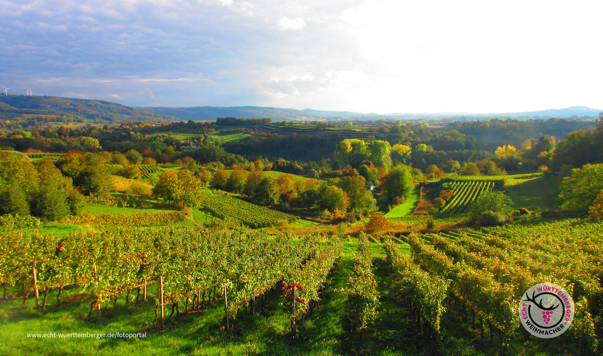 Weinheimat Württemberg