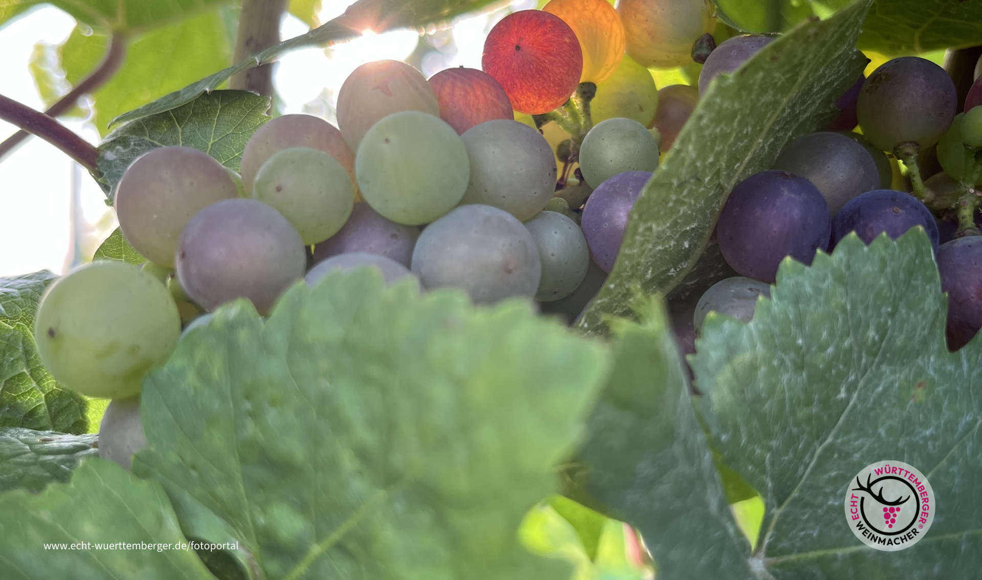 Sonnenstrahlen im Farbwechsel