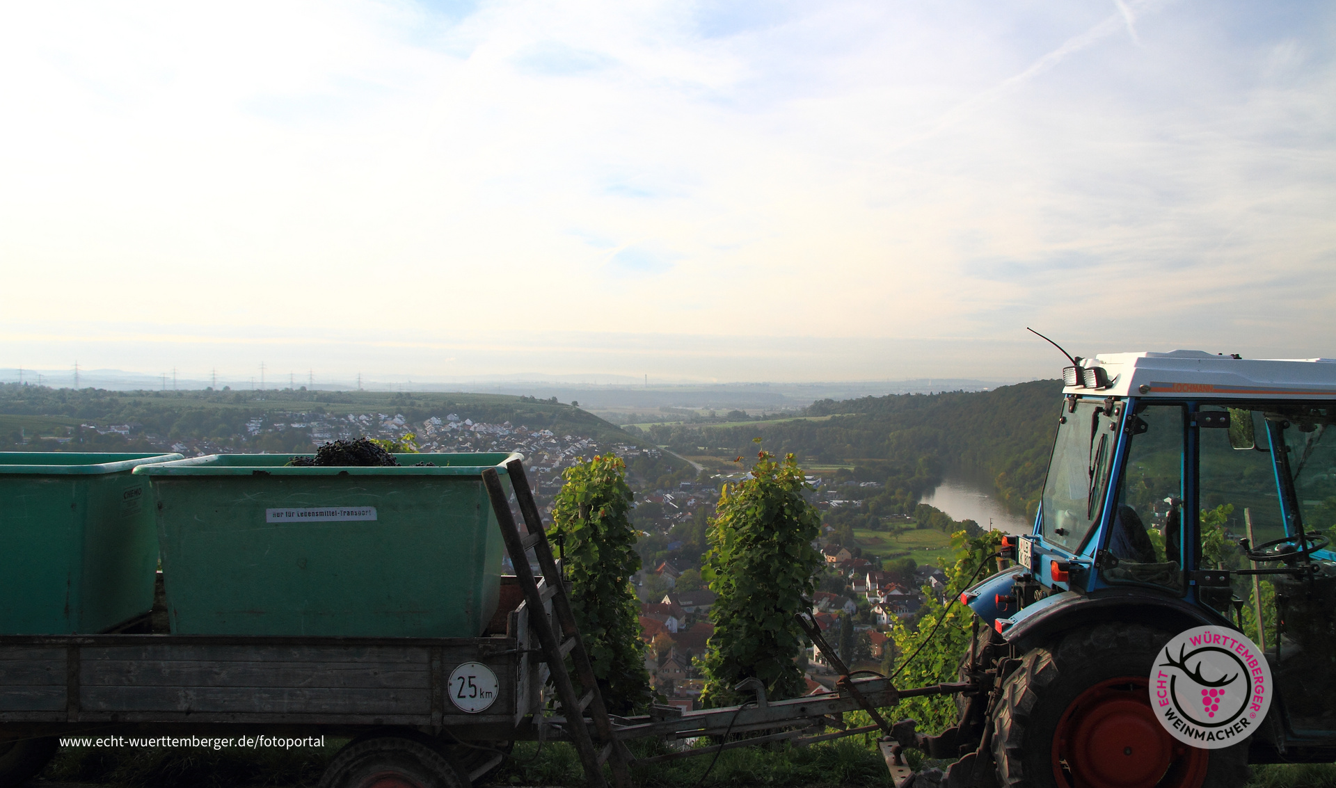 Bei der Lese