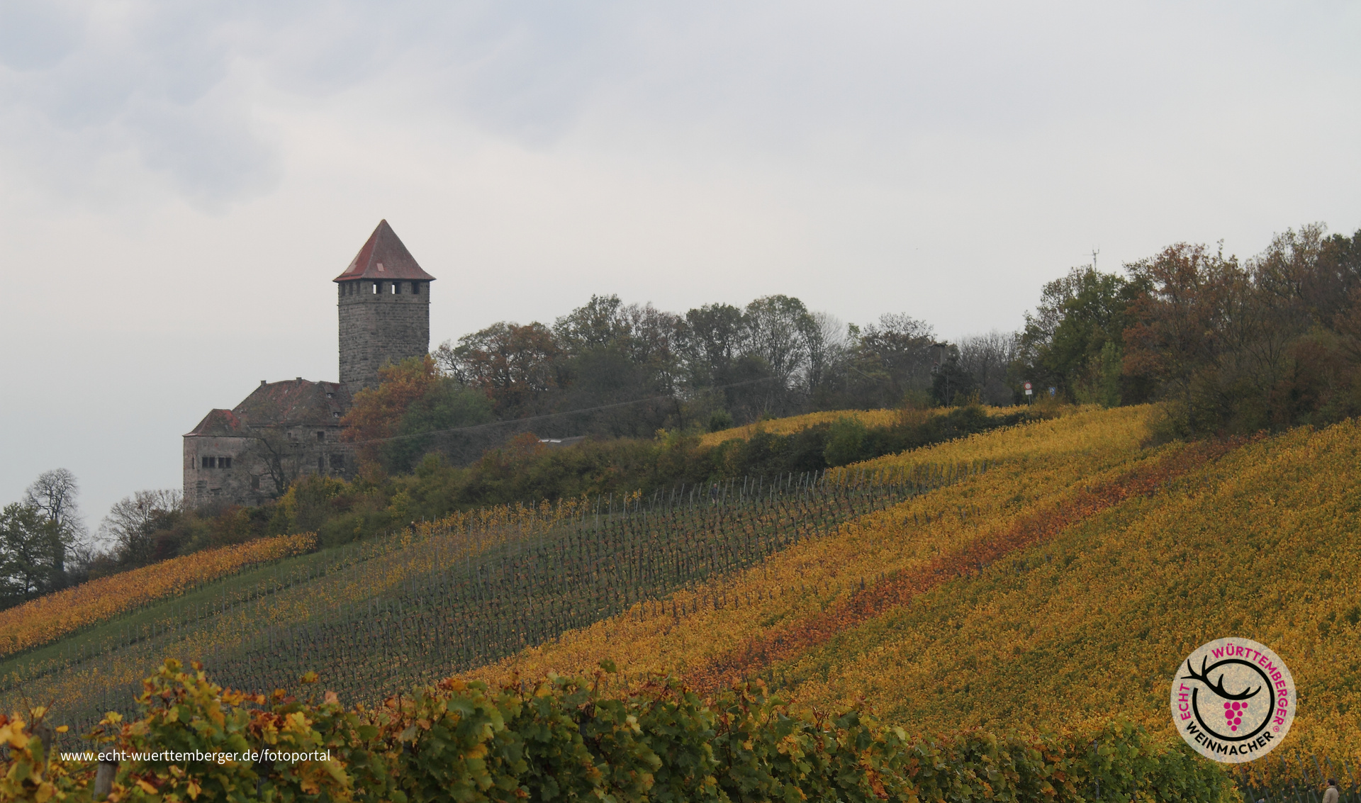 Weinberge bei der Burg