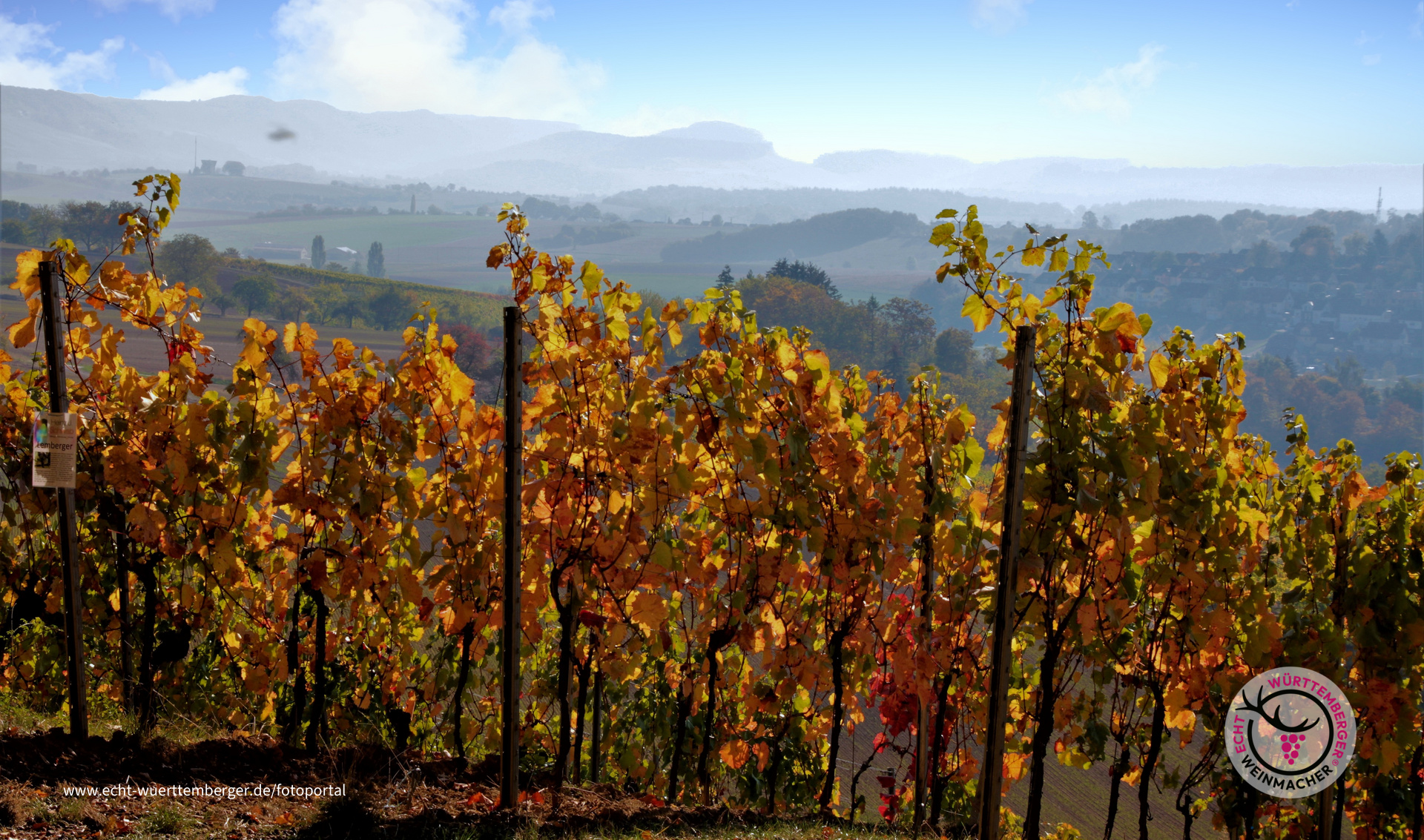 ....ganz langsam wird es Herbst II